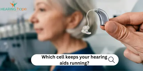 Hearing aid cell