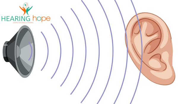 Range of Human Hearing